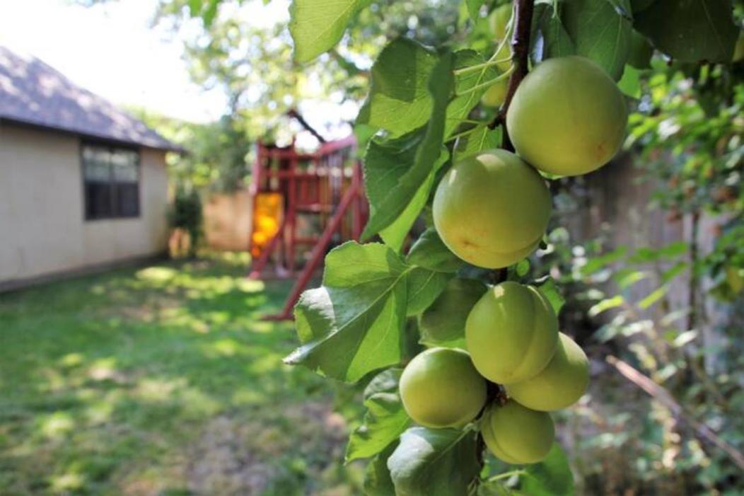 Experience Nirvana With Artwork Collections From Around The Globe Located In Lakewood Neighborhood In Se Boise Next To A Park, Minutes From Bown Crossing And The Boise River, 10 Minutes To Downtown, 4 Beds, Sleeps 8, Pets Welcome In Large Fenced In Y Dış mekan fotoğraf